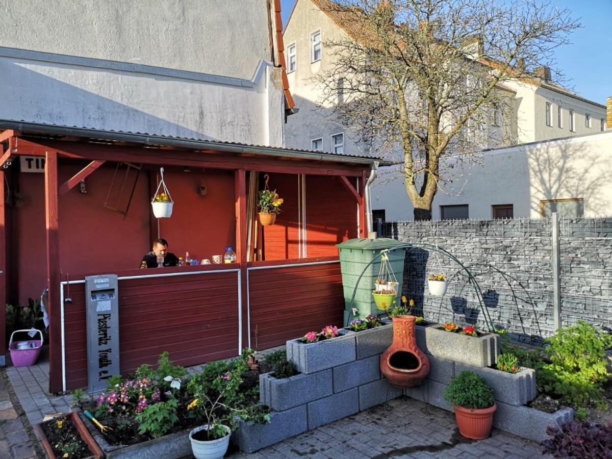 Pension Zur Gartenstadt Wittenberg Eksteriør billede